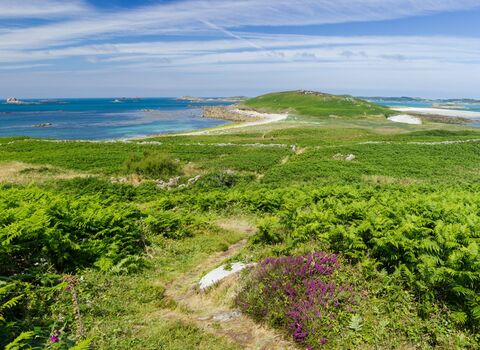 isles-of-scilly-national-landscape-isles-of-scilly-wildlife-trust